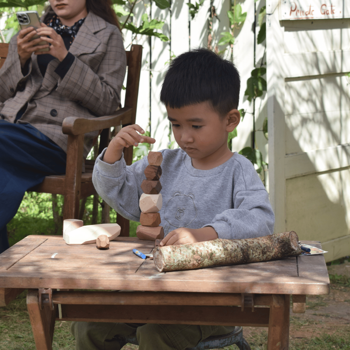 Đá Gỗ Cân Bằng Tumi Ishi